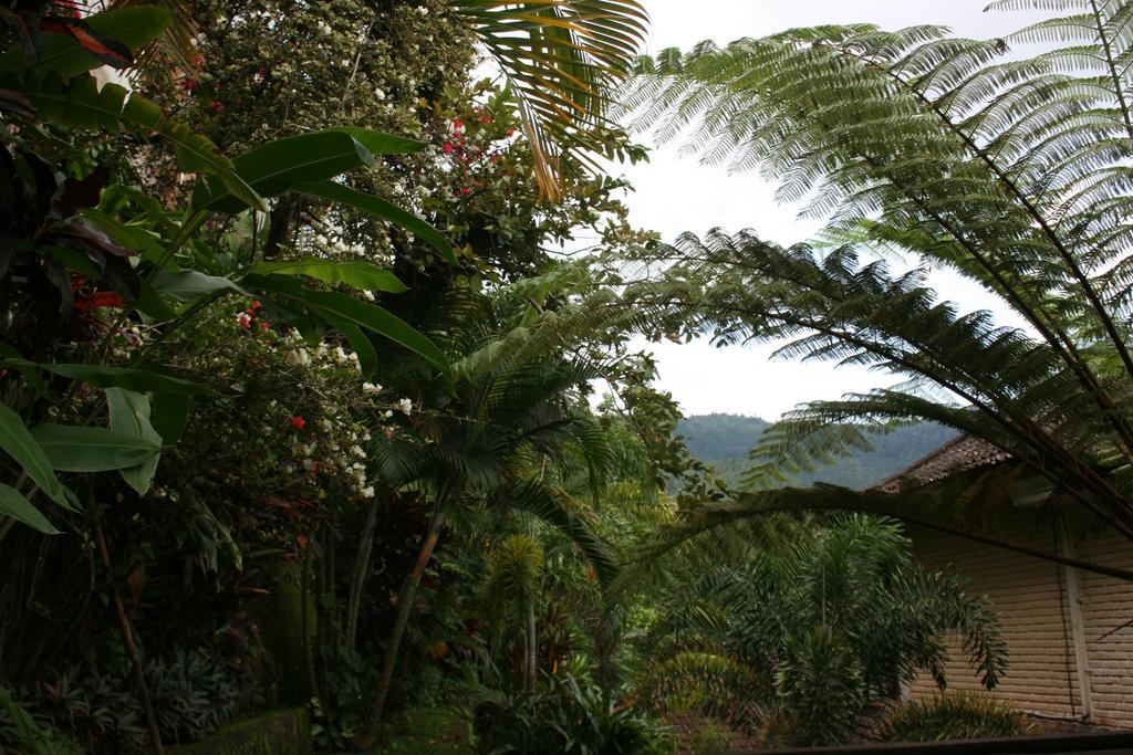 Puri Alam Bali Hotel Munduk Exterior foto